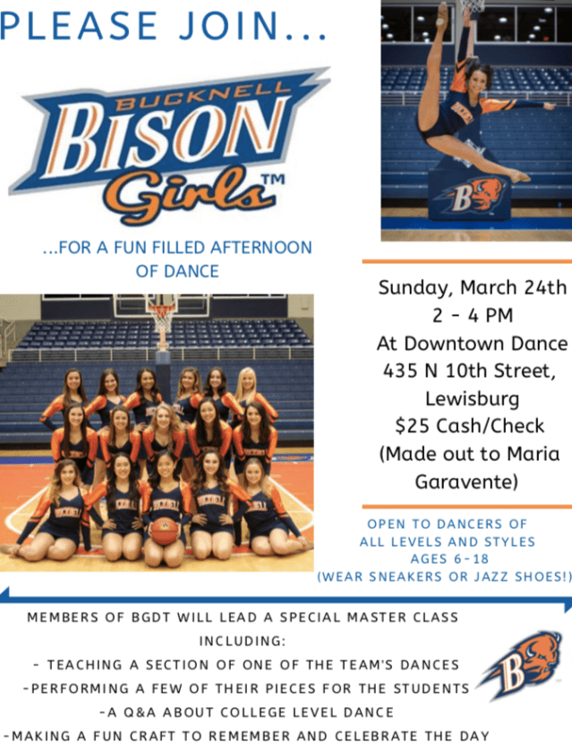 Bison Girls Workshop Image.png